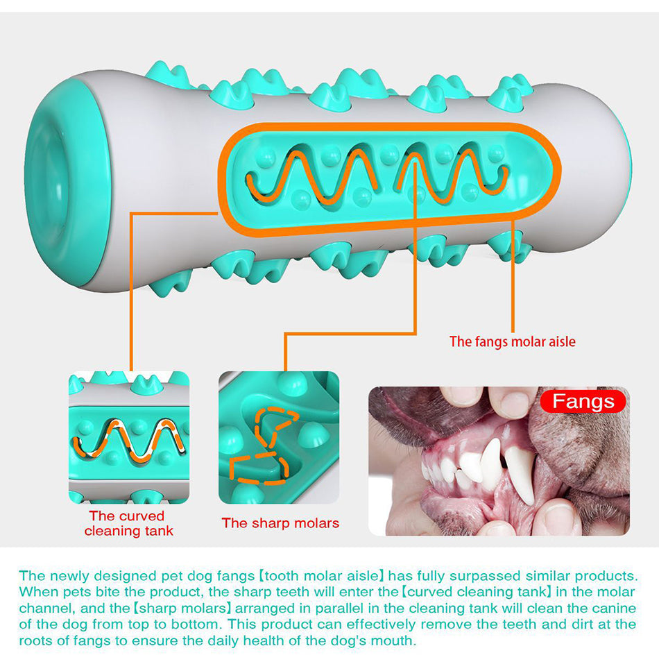 Ultra Hard Dog Tooth Cleaning Toy and Supplies