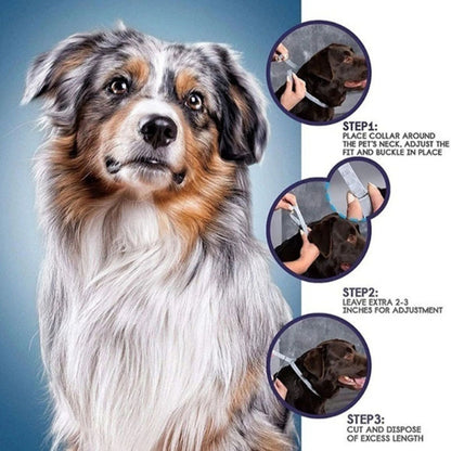 Bayer Seresto Flea and Tick Collar for Pets