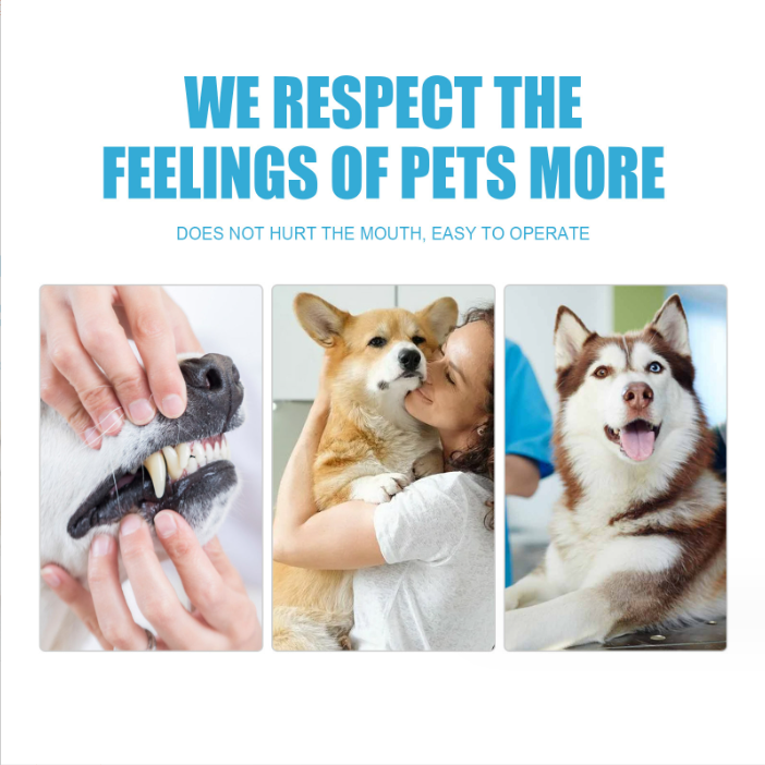 Edible Fresh Toothpaste for Cats and Dogs Oral Care